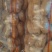 精品黄心土豆大量上市现挖现发对接商超档口欢迎来电