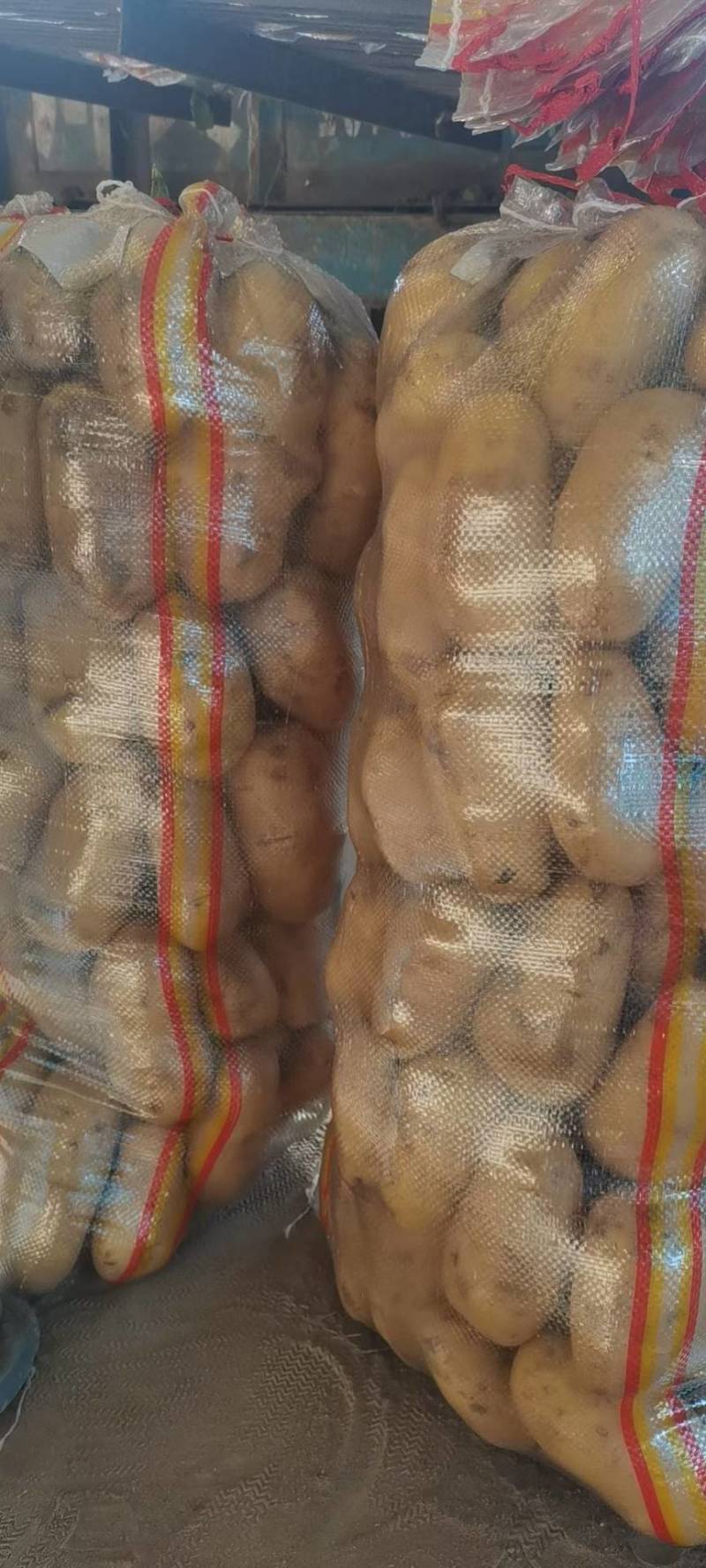 精品黄心土豆大量上市现挖现发对接商超档口欢迎来电