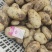 精品黄心土豆大量上市现挖现发对接商超档口欢迎来电
