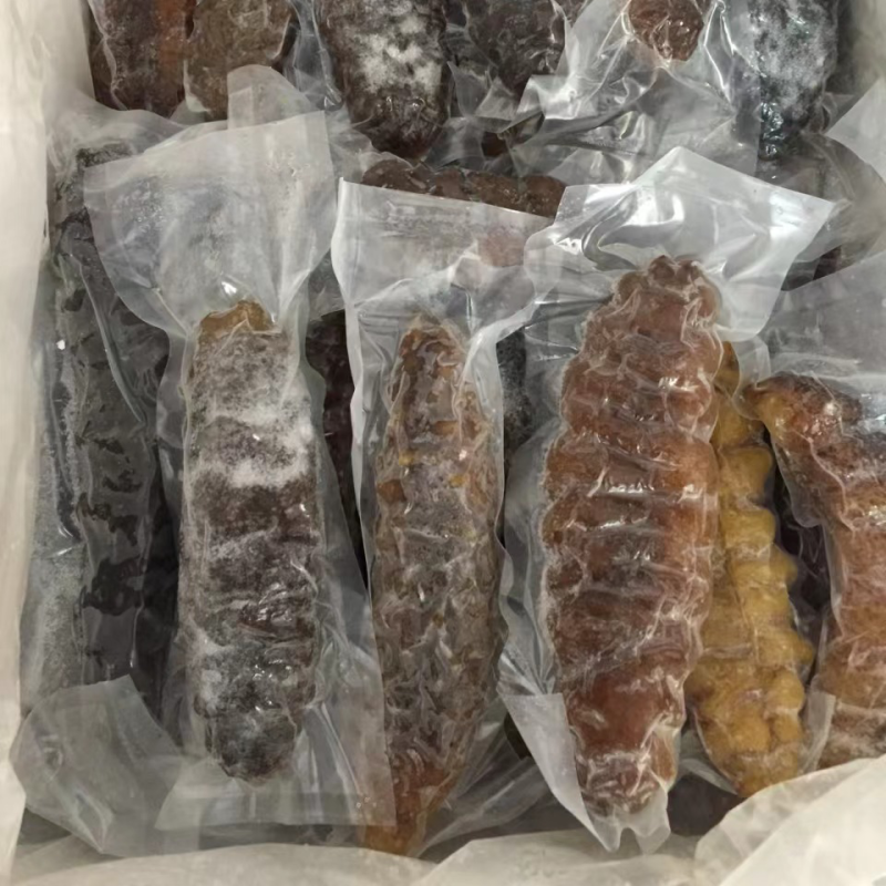 泡发海参鲜食参螺纹参厂家发货批发