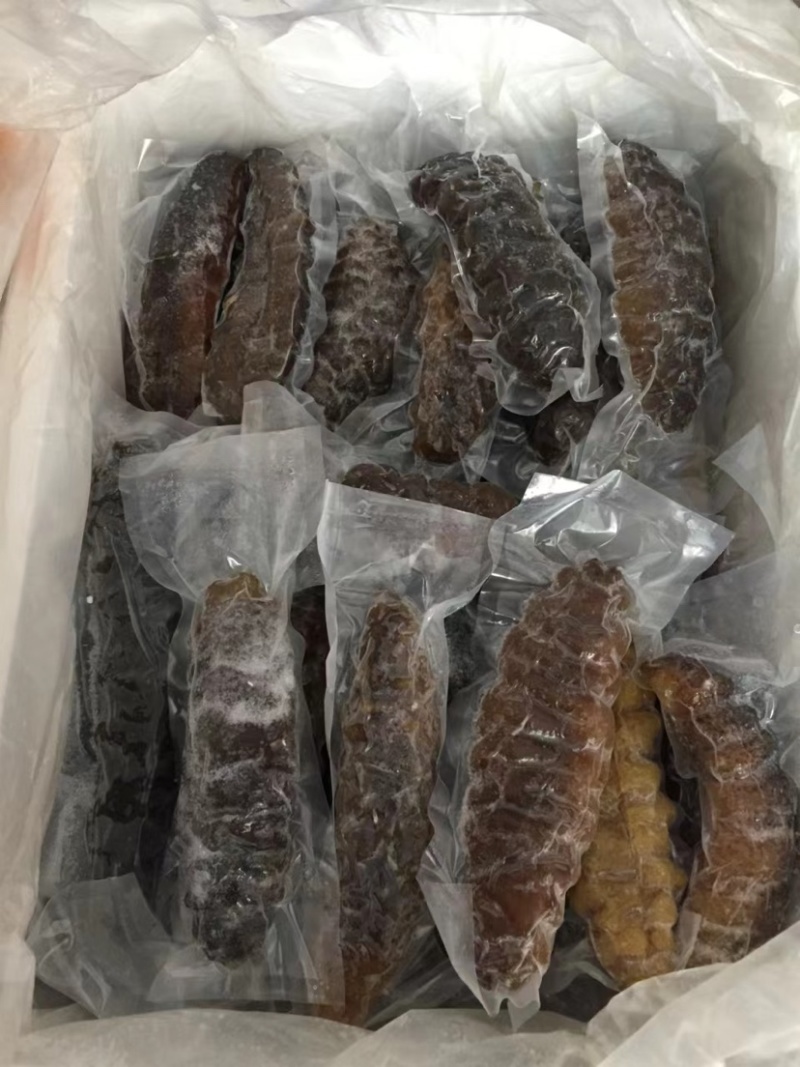 泡发海参鲜食参螺纹参厂家发货批发