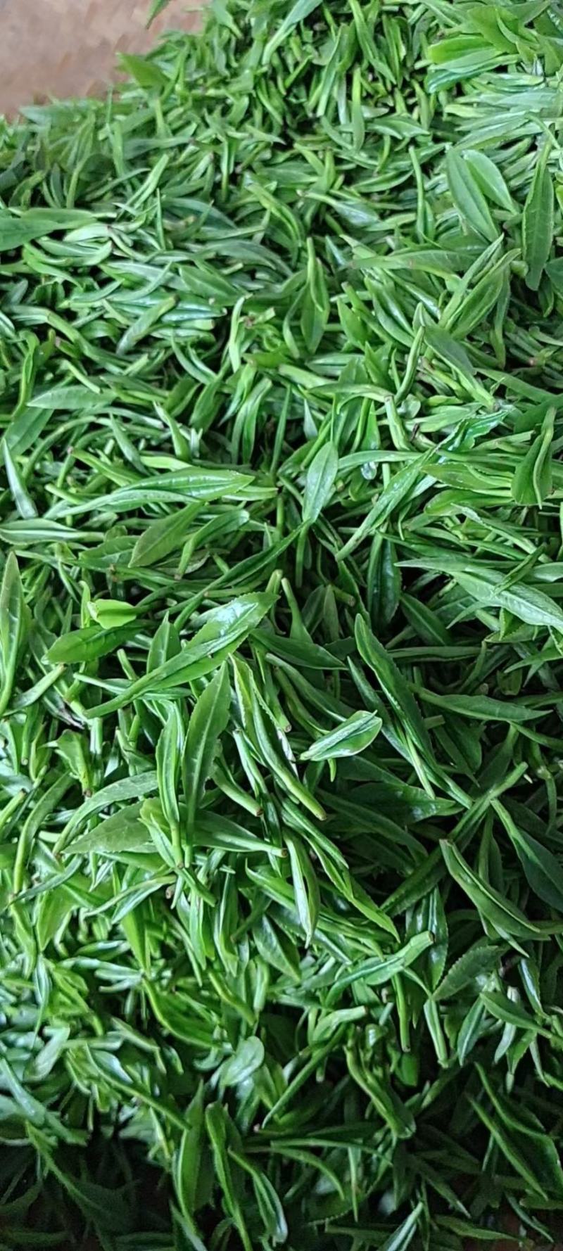 湘西自治州保靖黄金茶、谷雨绿茶办公茶系列