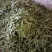 油豆角辽宁北镇大量油豆角上市质量好产地直供