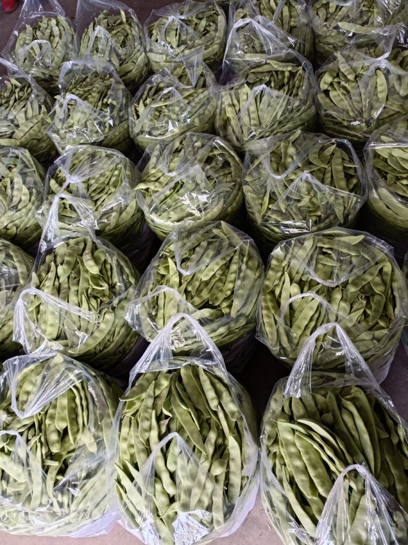 油豆角辽宁北镇大量油豆角上市质量好产地直供