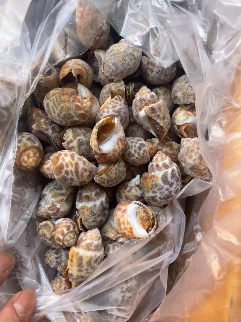 南美白对虾沙特虾16/20国联厂