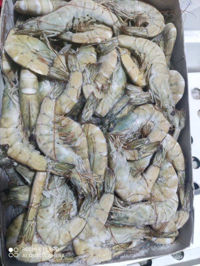 南美白对虾沙特虾16/20国联厂