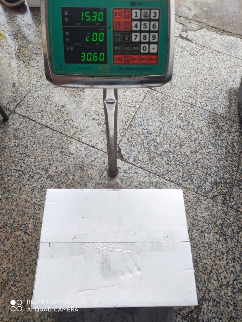 南美白对虾沙特虾16/20国联厂