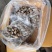 花螺巴基斯坦花螺50/80