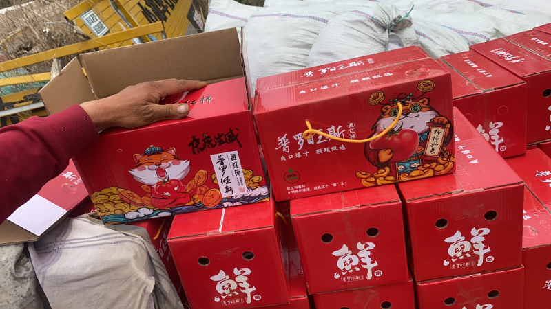 海阳普罗旺斯西红柿