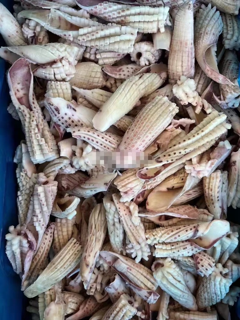 蟹钳