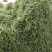 北镇白豆角大量上市.欢迎各地客商咨询.质量好