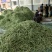 北镇白豆角大量上市.欢迎各地客商咨询.质量好