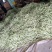 北镇白豆角大量上市.欢迎各地客商咨询.质量好