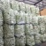 北镇白豆角大量上市.欢迎各地客商咨询.质量好