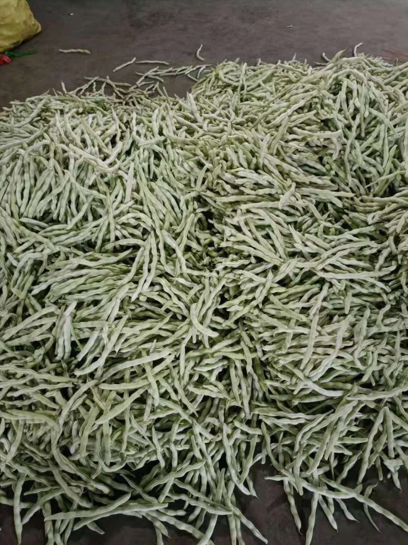 冷棚白豆角大量上市.质量好.产地代办.欢迎咨询.