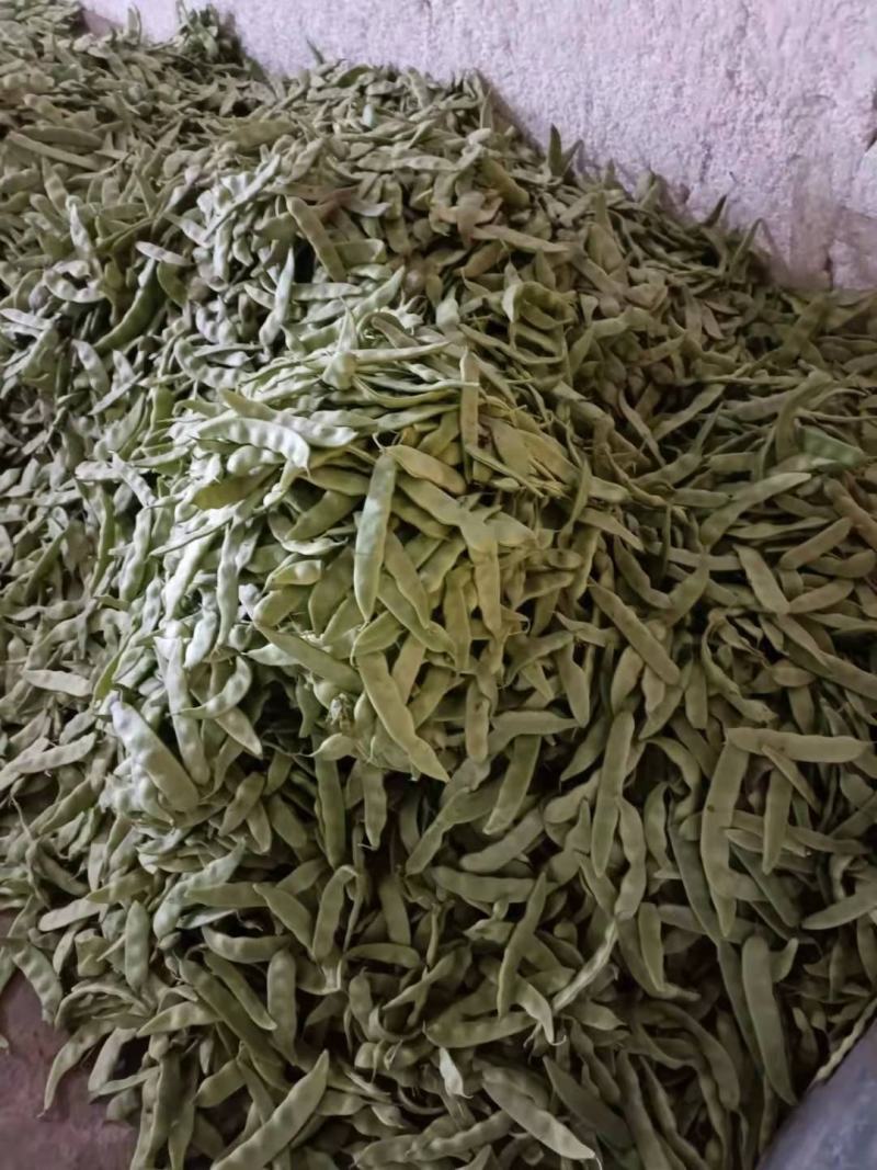 油豆大量上市.质量好.颜色好.欢迎各地老板咨询.