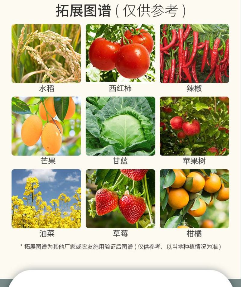 氯溴异氰尿酸细菌真菌病毒霜霉软腐病土壤消毒通用杀菌剂