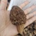 【香格里拉野生羊肚菌】假一赔十