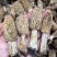 【香格里拉野生羊肚菌】假一赔十
