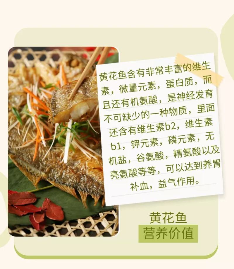 【推荐】天然活冻大黄花鱼，肉质鲜嫩，全国发货，诚信经营