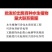 广西水芙蓉，全国包邮，一件代发，大量有货