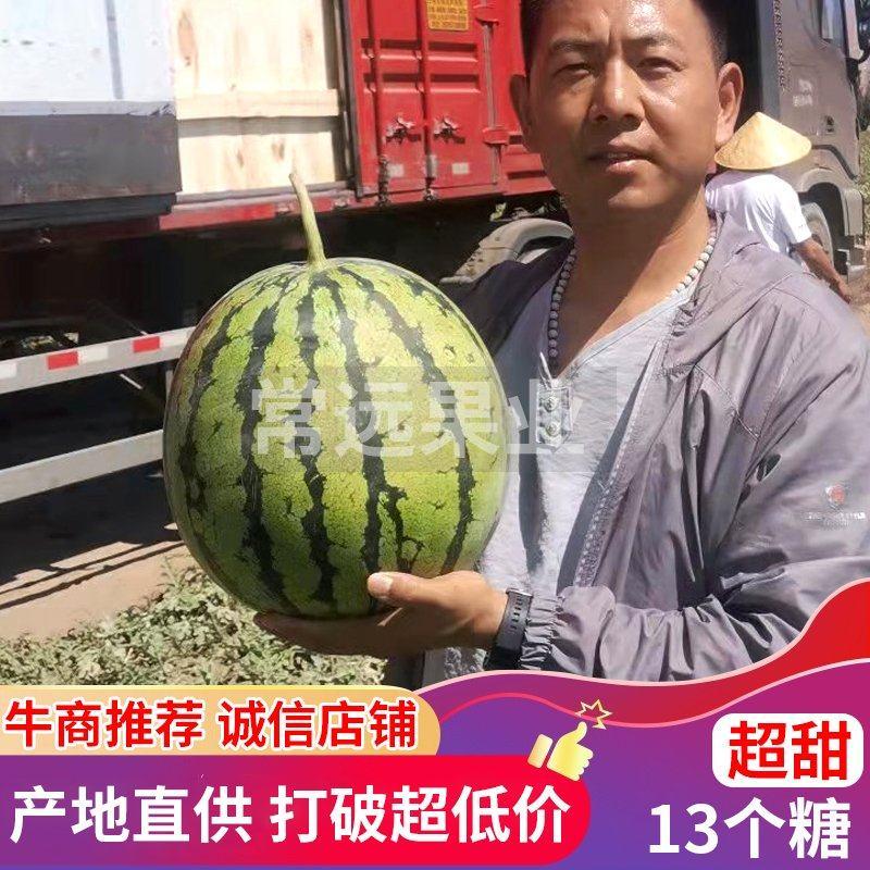 新疆甜王西瓜四公斤起现摘现发吐鲁番甜王全国代发