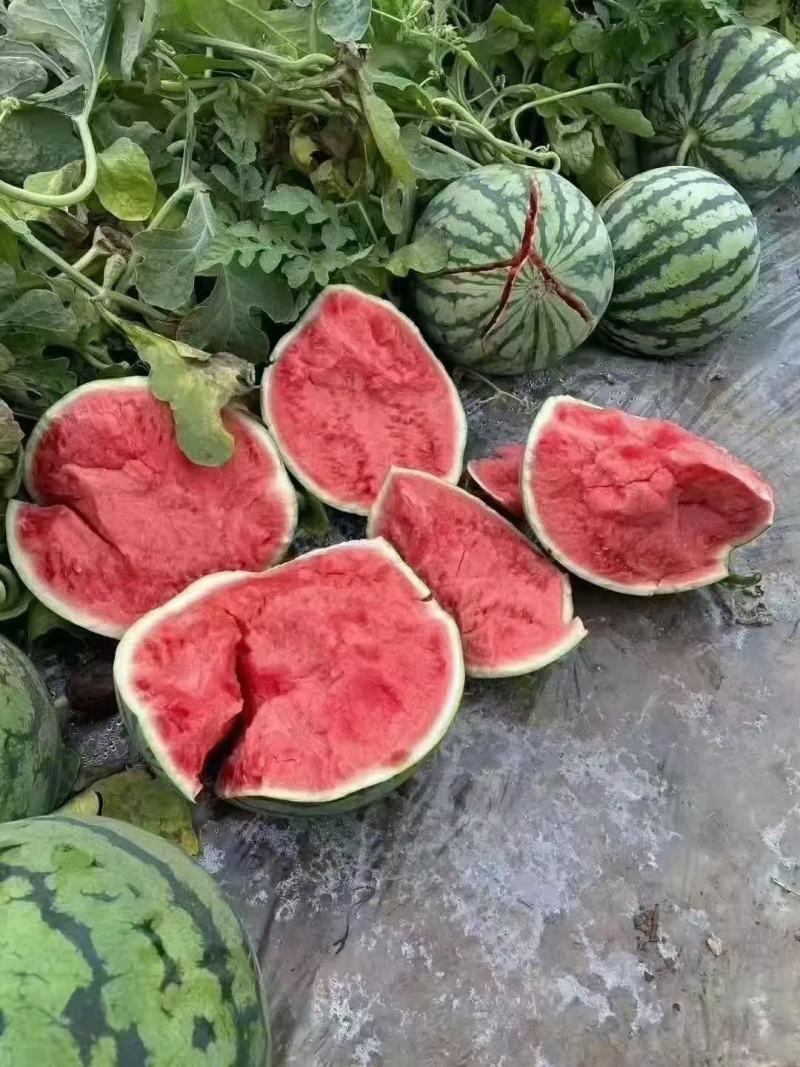 大量供应，8424.美都，有想要的可以联系我