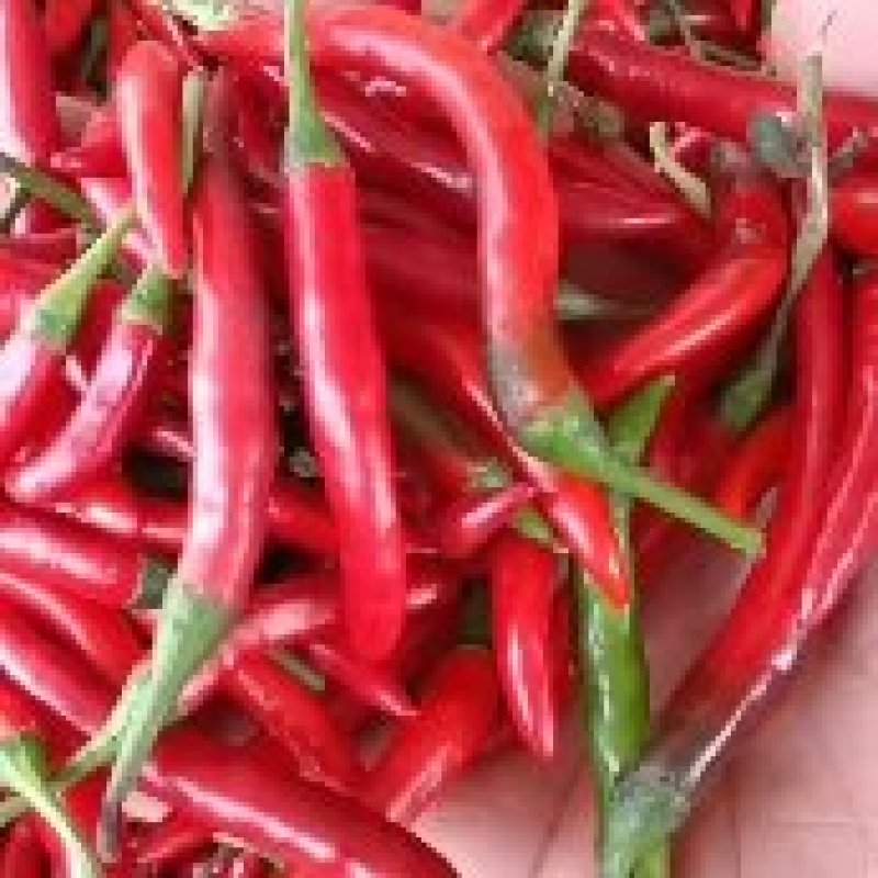 红小米椒辣椒青红朝天椒特辣