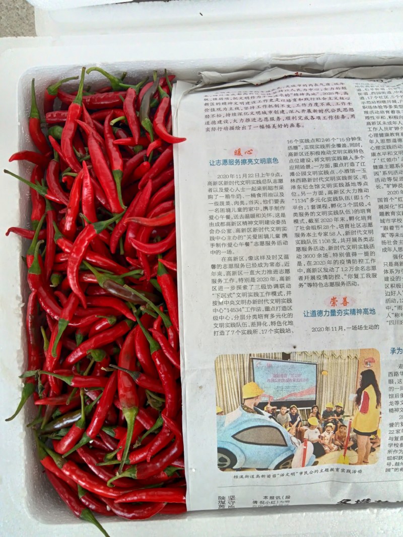 红小米椒辣椒青红朝天椒特辣