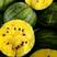 特小凤西瓜瓜瓤鲜黄，口感甘甜，精品纸箱包装用品质说话
