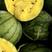 特小凤西瓜瓜瓤鲜黄，口感甘甜，精品纸箱包装用品质说话