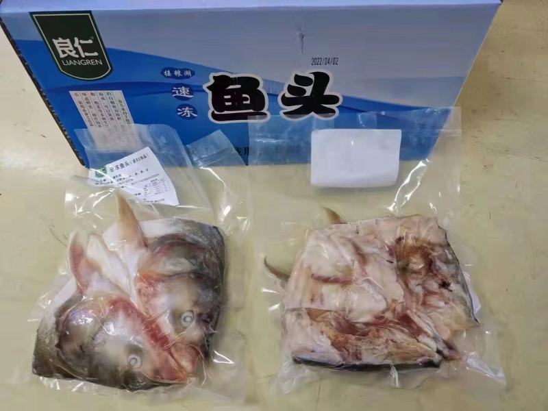 剁椒鱼头胖头鱼冷冻真空索鲜酸菜淡水鲢鱼头酒店半成品火锅