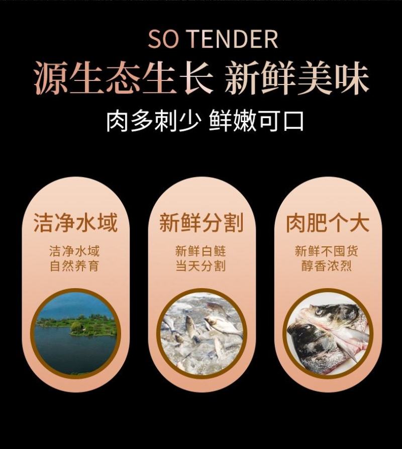 剁椒鱼头胖头鱼冷冻真空索鲜酸菜淡水鲢鱼头酒店半成品火锅