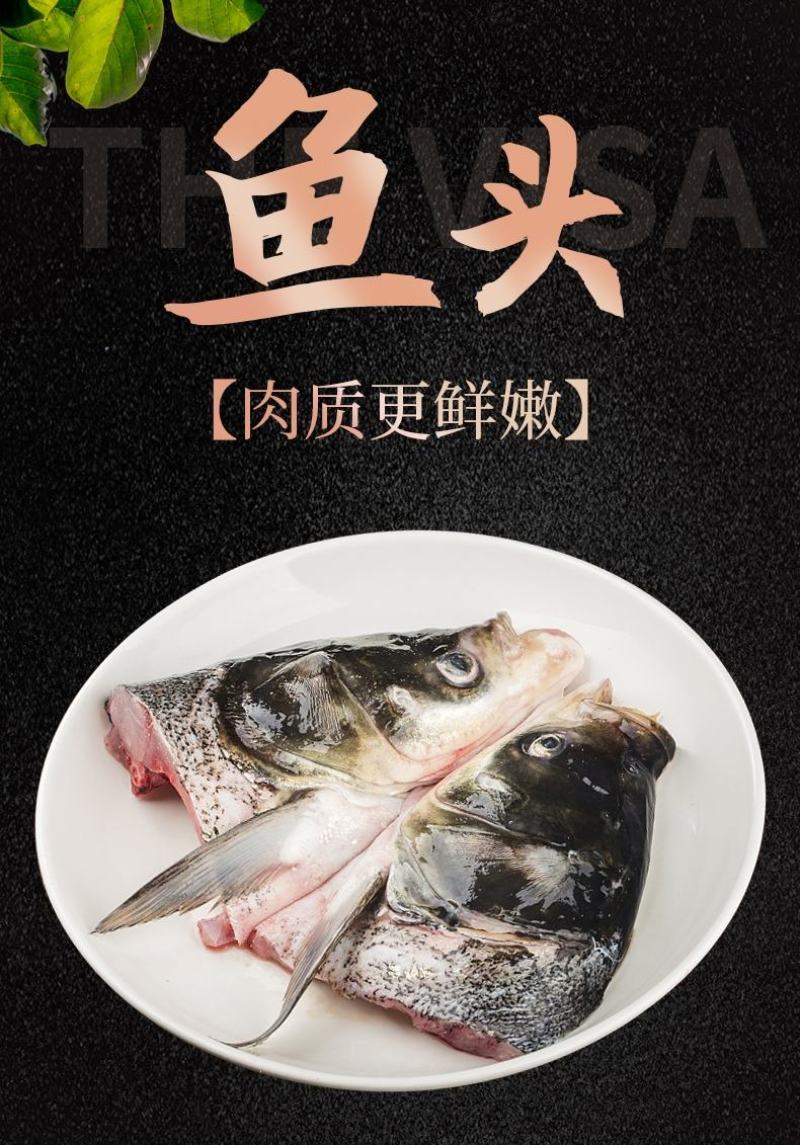 剁椒鱼头胖头鱼冷冻真空索鲜酸菜淡水鲢鱼头酒店半成品火锅