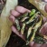 青辣椒段，辣椒段，青辣椒丝，干青辣椒节，