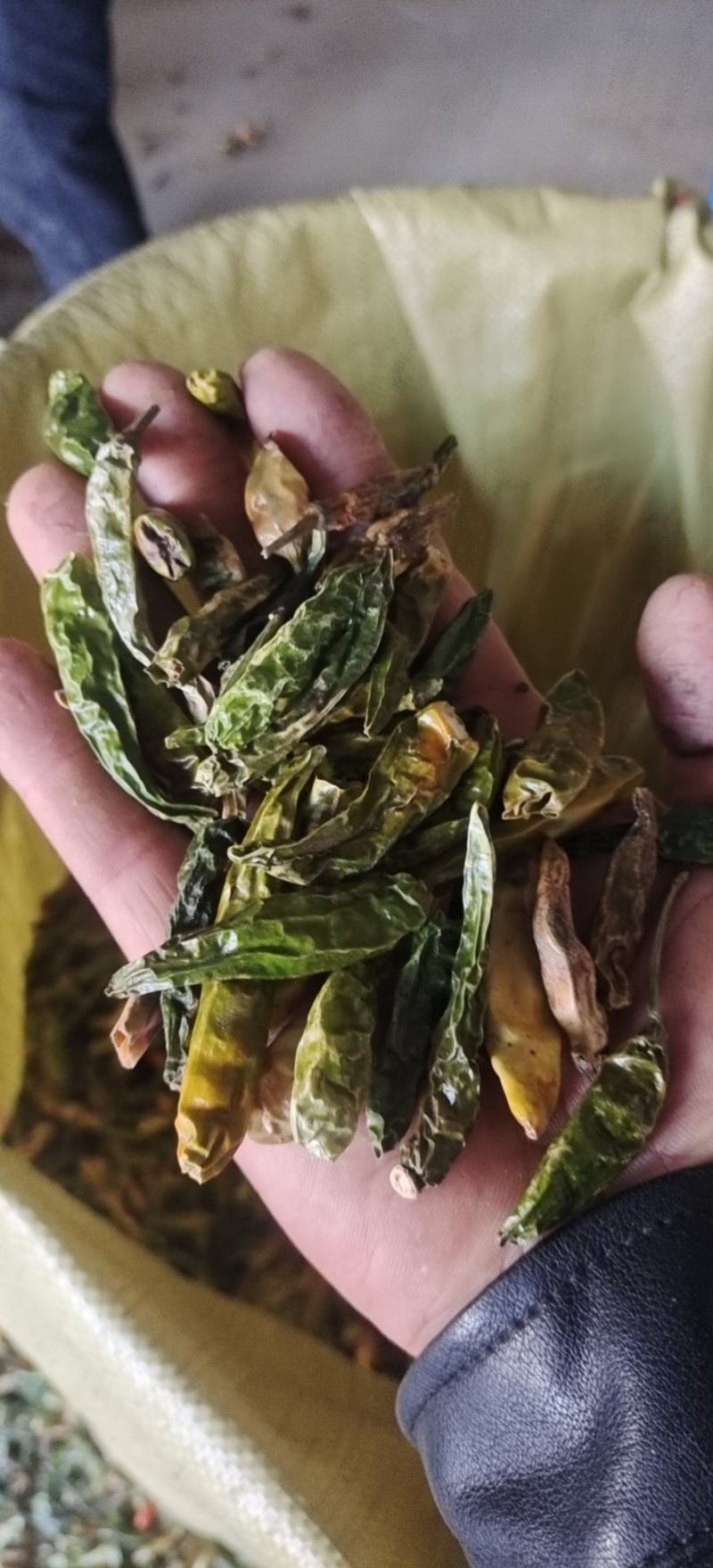 青辣椒段，辣椒段，青辣椒丝，干青辣椒节，