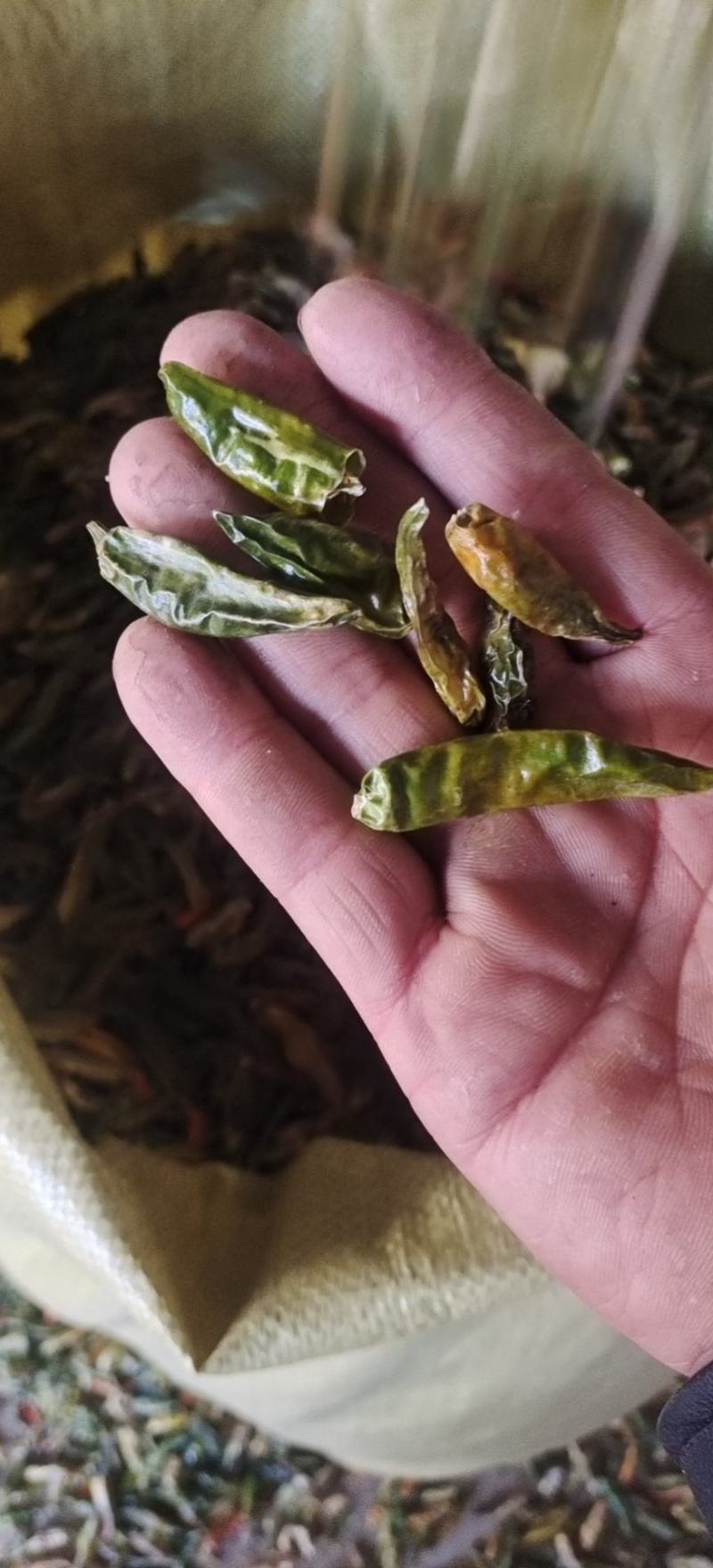 青辣椒段，辣椒段，青辣椒丝，干青辣椒节，