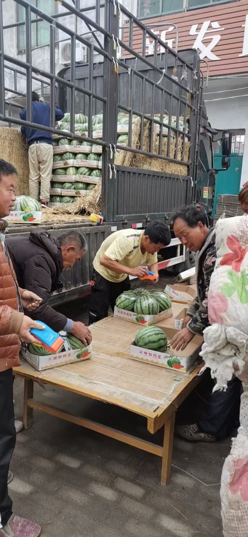 砀山县万亩西瓜，美都西瓜，8424西瓜大量上市，货源充足