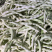 代收白芸豆量大，寻找收购老板