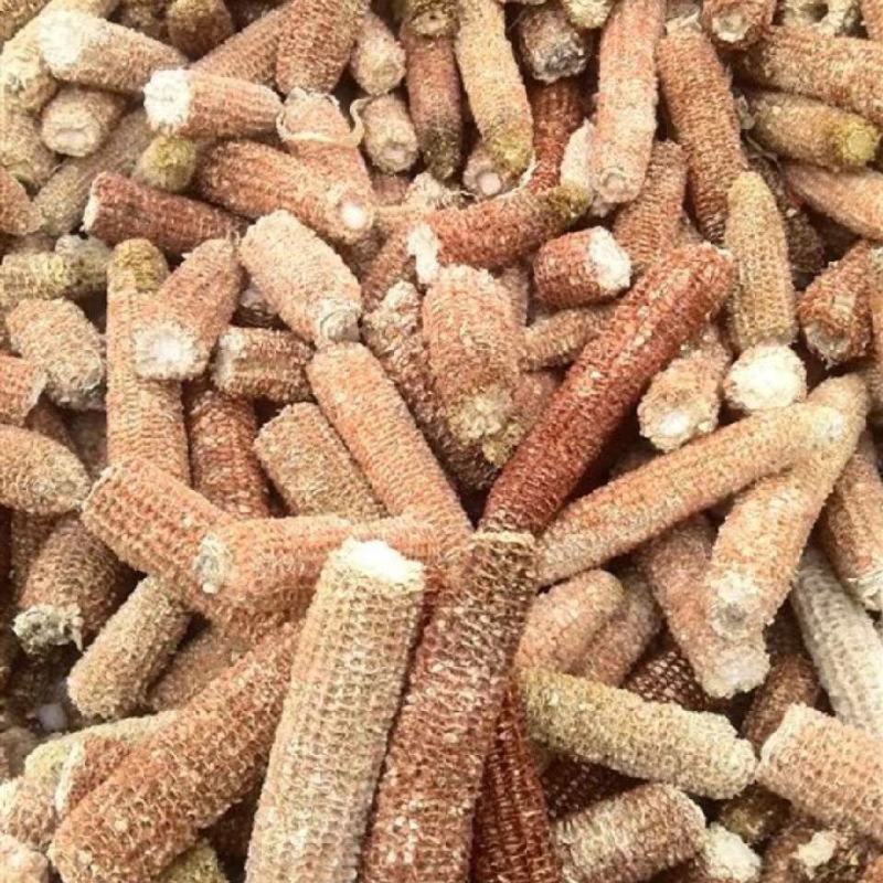 玉米芯玉米颗粒