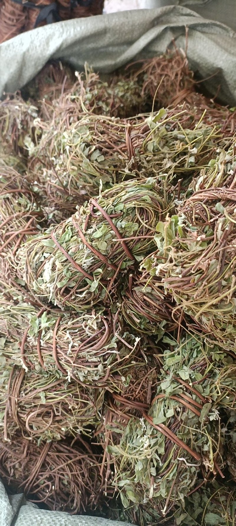 鸡骨草带叶扎把青绿鸡骨草支持线上交易