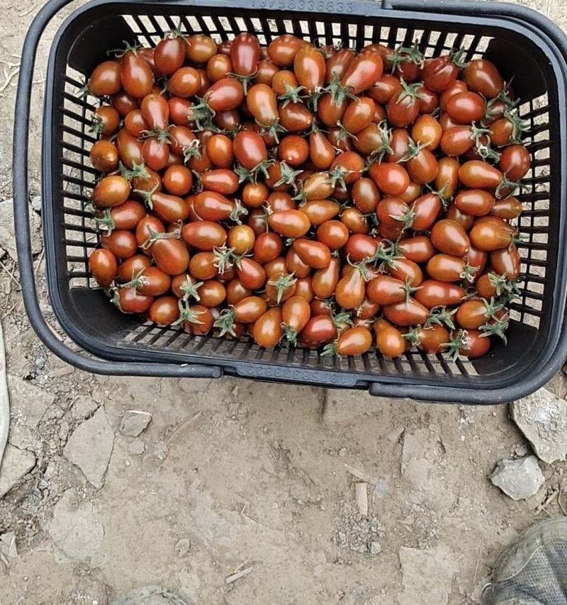 水果番茄，酸甜果