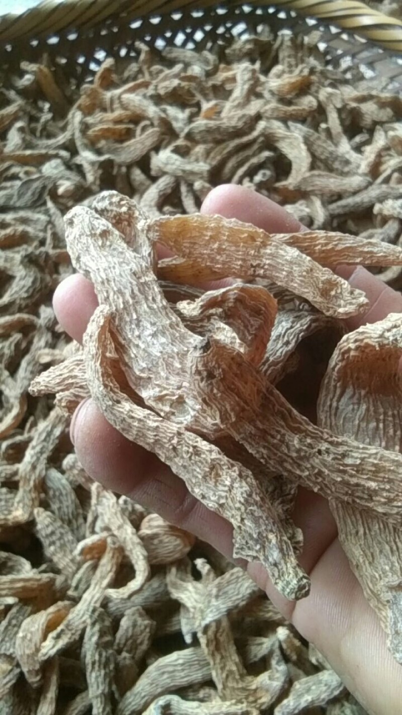 天麻，批发小天麻条麻，干度足无硫质量好价格实惠。