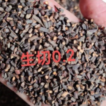 广西玉林生切精品桂枝规格齐全基地直发欢迎来电洽谈