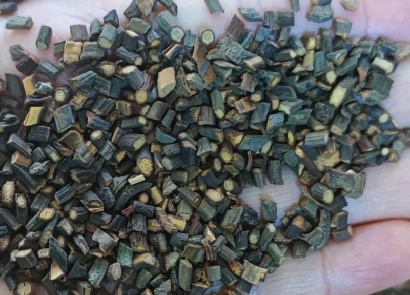 广西玉林生切精品桂枝规格齐全基地直发欢迎来电洽谈