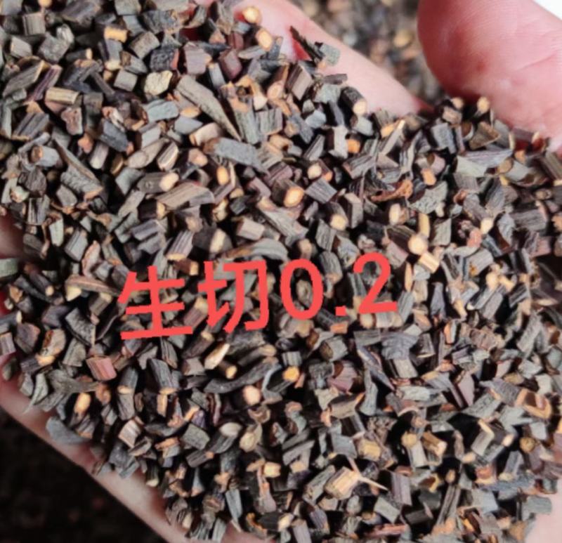 广西玉林生切精品桂枝规格齐全基地直发欢迎来电洽谈