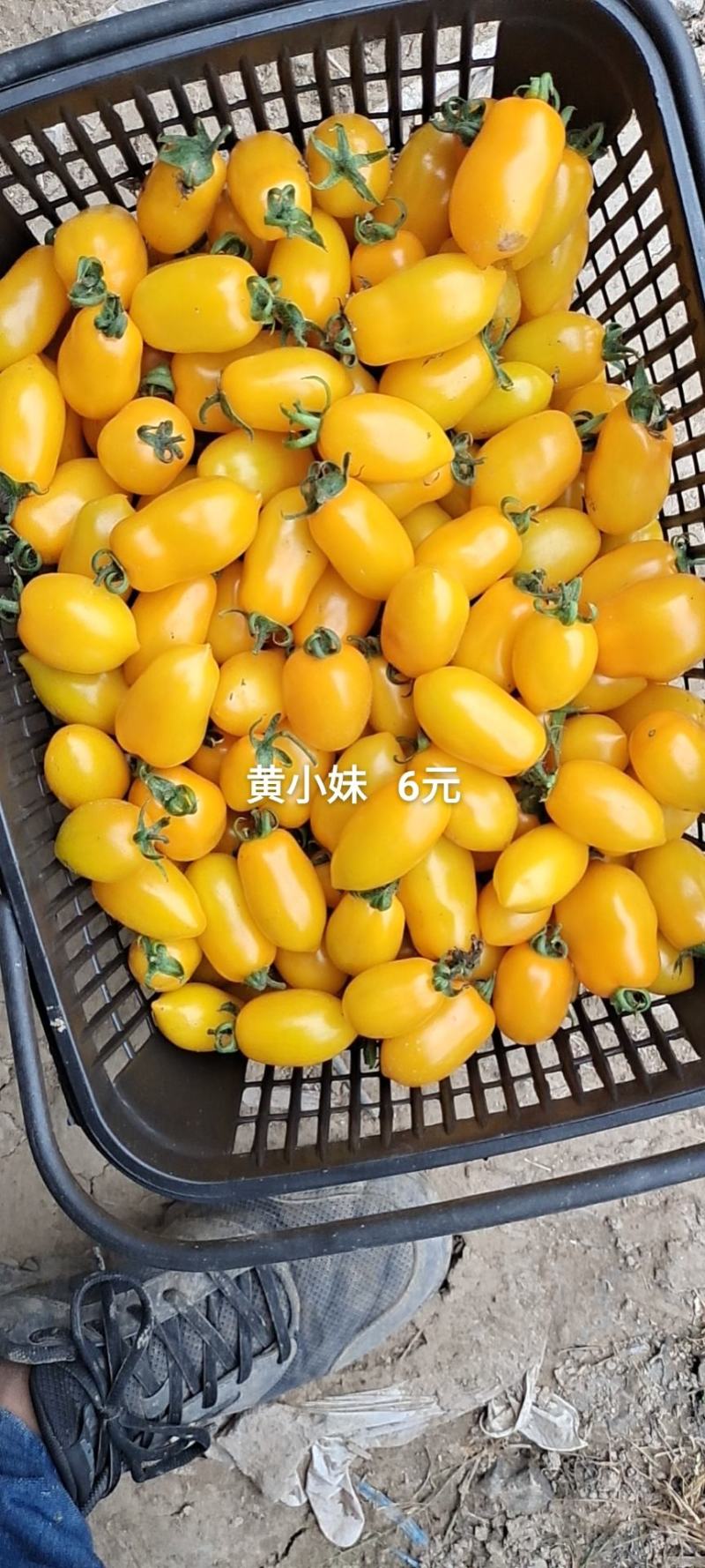 量大从优