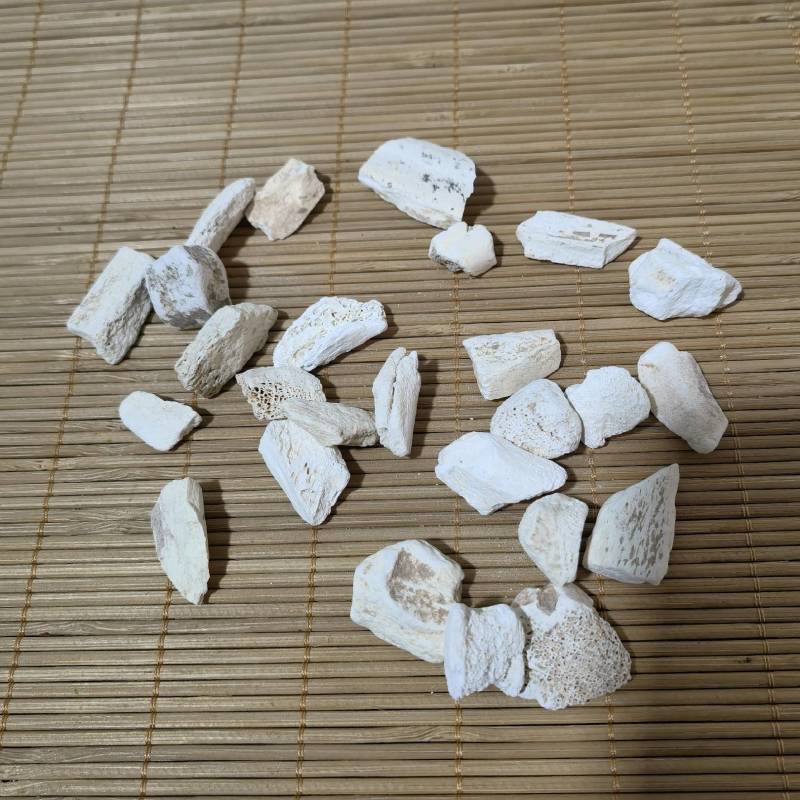 正品精选货龙骨实物拍摄质量保证物美价廉重在品质