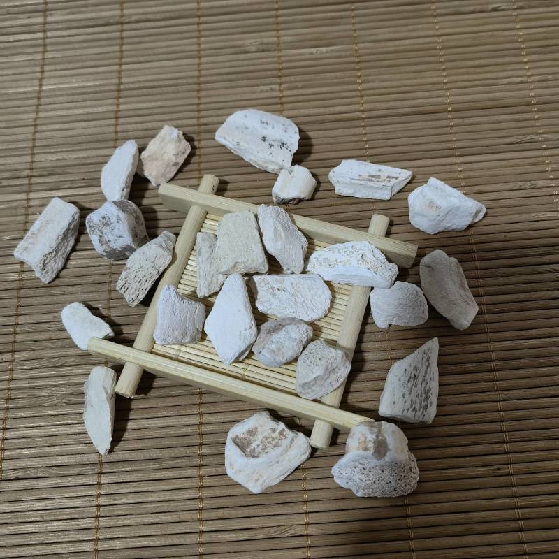 正品精选货龙骨实物拍摄质量保证物美价廉重在品质