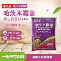 [五赠一]哈茨木霉菌微生物菌剂生根壮苗防死棵改善土壤环境